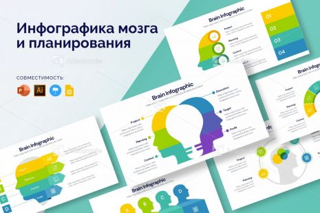 Инфографика мозга и планирования